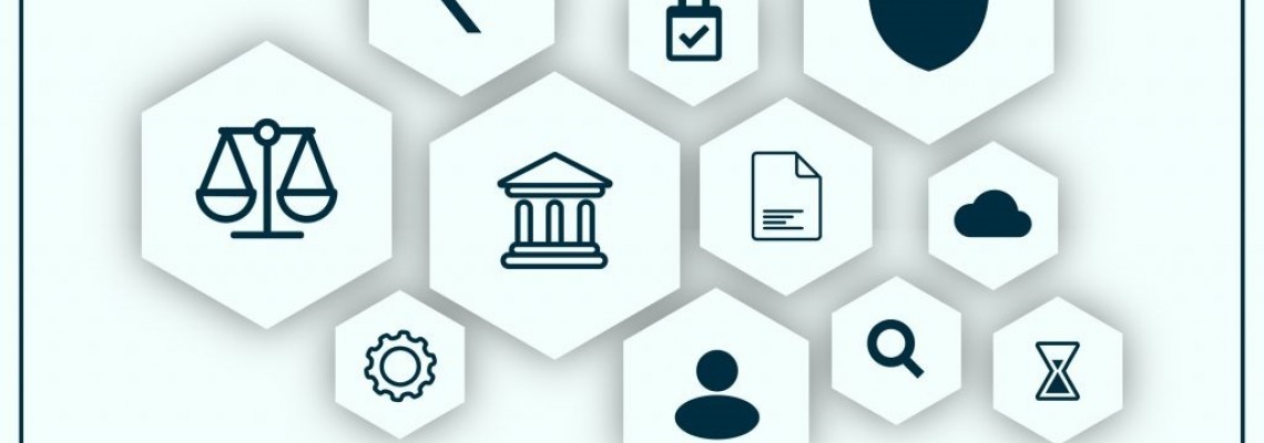 What’s the purpose of  Lawyer Management System