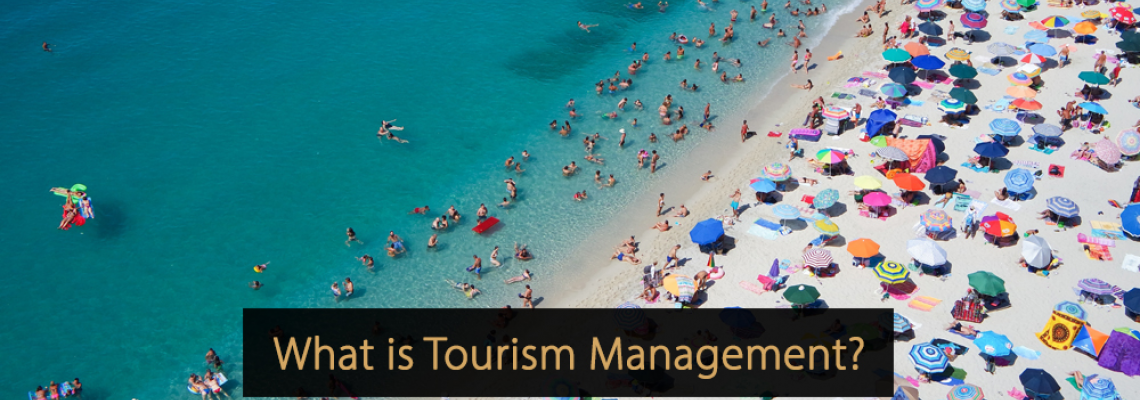 What is Tourist Service Management
