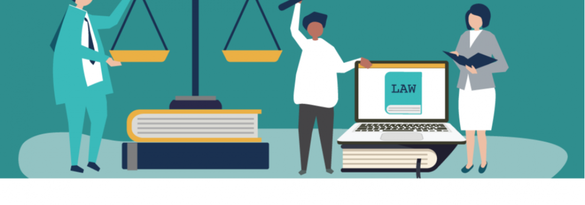 What is Lawyer Management System