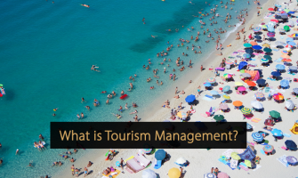 What is Tourist Service Management