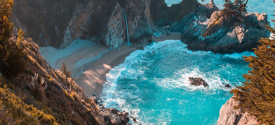 Touristservice Management